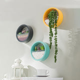 Wall Vase - Hanging Basket Flower Pot