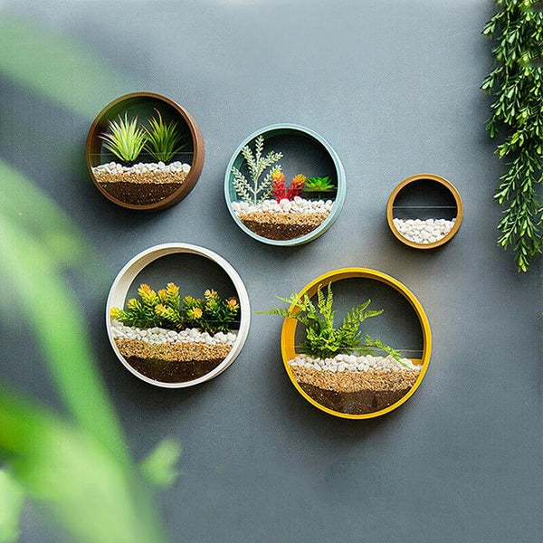 Wall Vase - Hanging Basket Flower Pot