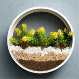 Wall Vase - Hanging Basket Flower Pot