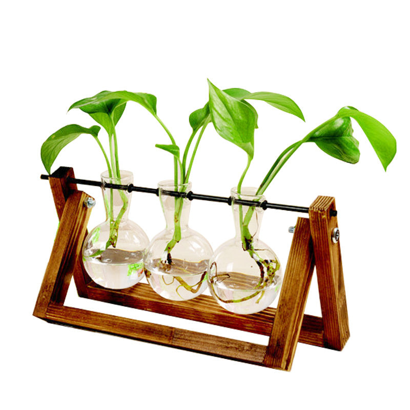 SwingWood Hydroponic Glass Vase with Wooden Stand