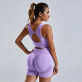 2pc Yoga Set Purple Bra and Short – Posh Atomic