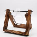 SwingWood Hydroponic Glass Vase with Wooden Stand