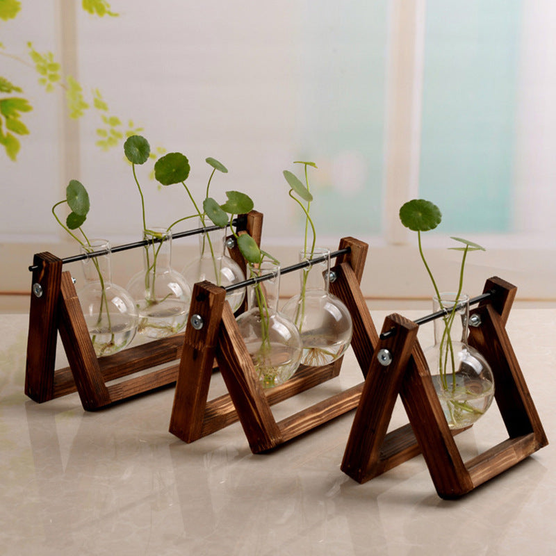 SwingWood Hydroponic Glass Vase with Wooden Stand