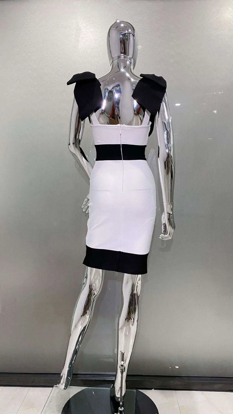Black And White Dress – Posh Atomic