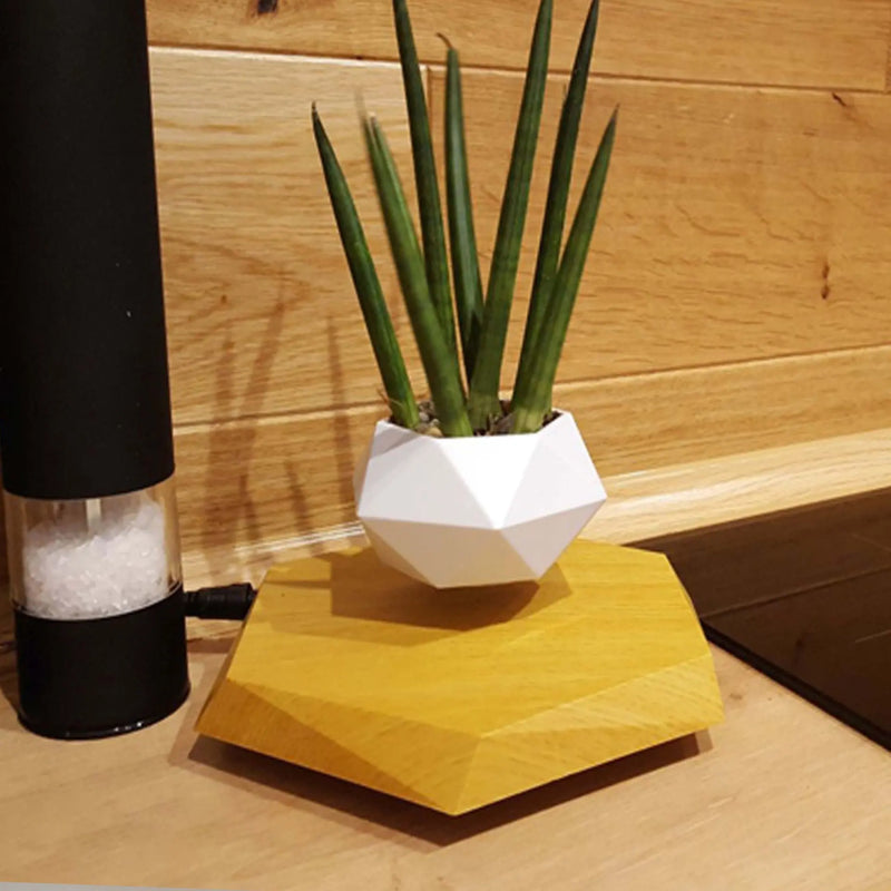Floating Magnetic Levitating Flower Pot Bonsai Air Plant Black EU – Posh Atomic