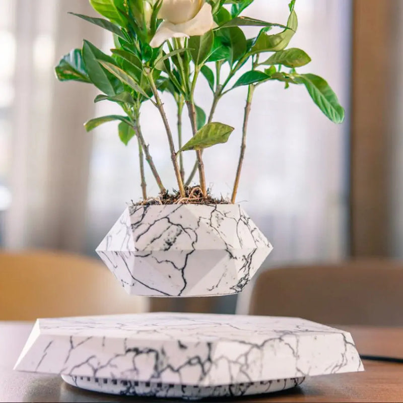 Floating Magnetic Levitating Flower Pot Bonsai Air Plant Black UK – Posh Atomic