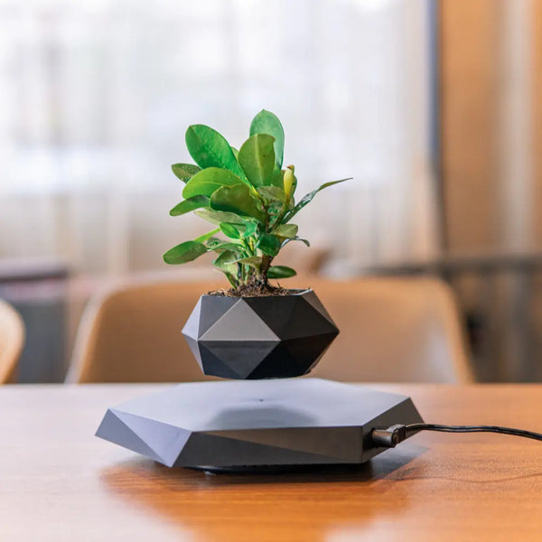 Floating Magnetic Levitating Flower Pot Bonsai Air Plant White EU – Posh Atomic