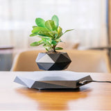 Floating Magnetic Levitating Flower Pot Bonsai Air Plant White AU – Posh Atomic