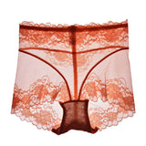 Women's High Waist Lace Traceless Mesh Underwear Skin Color M – Posh Atomic